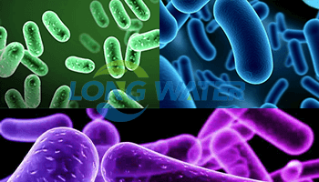 Bacteria Agent